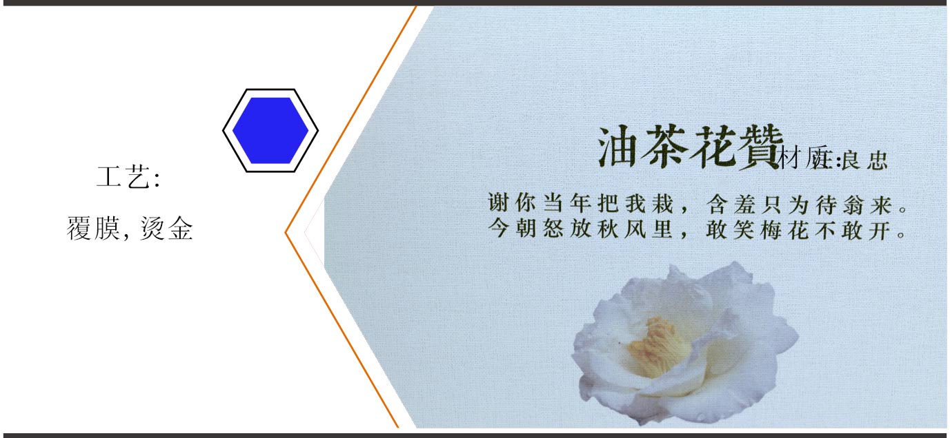 湖南茶油包装设计